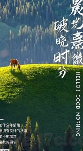 91麻豆精品国产自产在线观看一区-探索国产精品自产内容的多元魅力，91麻豆精品一区之印象