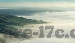 久久久91麻豆-从网络文化中闪现的微光，探秘久久久91麻豆背后