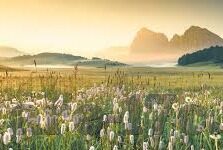 麻豆传媒王茜-麻豆女优王茜，从艺术到现实的荧幕之旅
