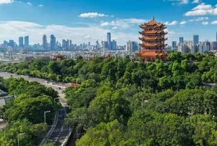 我的好妈妈1中文字幕-母爱如歌，我的好妈妈1中文字幕